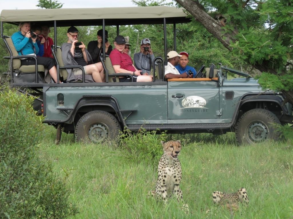 Honeyguide Tented Safari Camp - Khoka Moya محمية مانيليتي للطرائد المظهر الخارجي الصورة