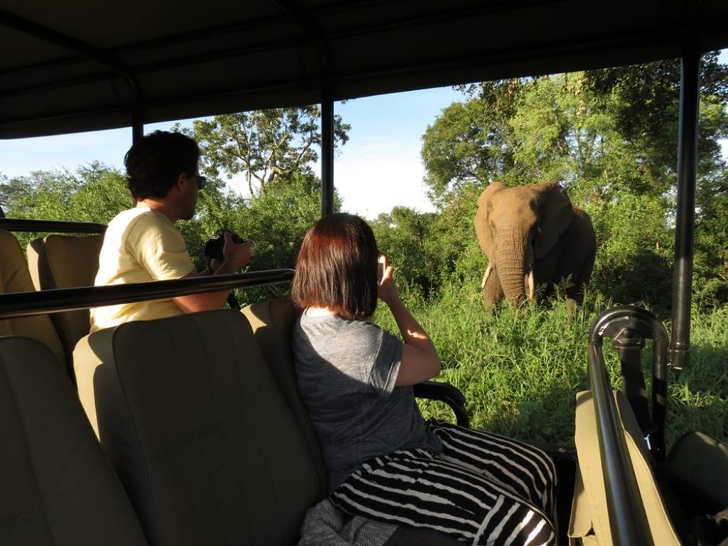 Honeyguide Tented Safari Camp - Khoka Moya محمية مانيليتي للطرائد المظهر الخارجي الصورة