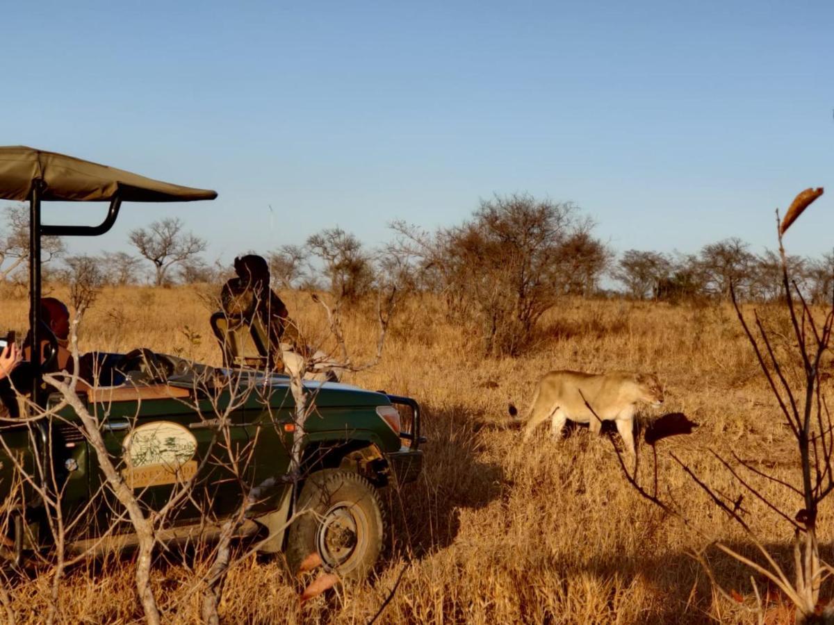 Honeyguide Tented Safari Camp - Khoka Moya محمية مانيليتي للطرائد المظهر الخارجي الصورة